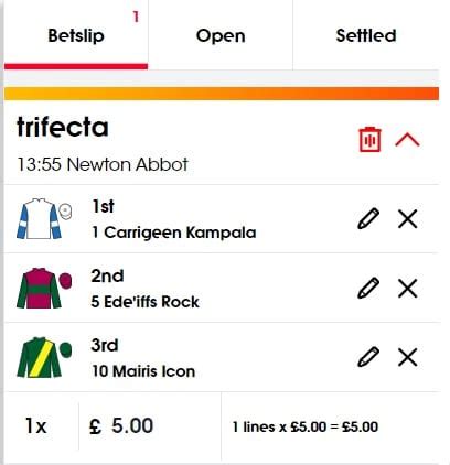 what is a tricast bet|Tricast bets explained .